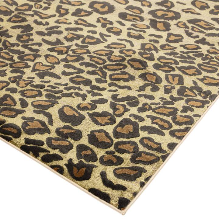 Open uri20251129 22435 qevi9w?1764387284