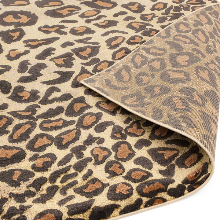 Open uri20251129 22435 1krwtxg?1764387287