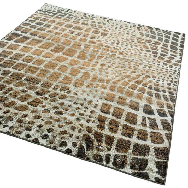 Open uri20251129 22435 1ml2un7?1764387307