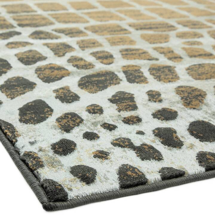 Open uri20251129 22435 q2pkk5?1764387315