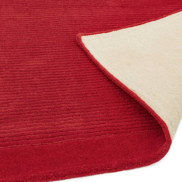 Open uri20251129 22435 i4y00o?1764394557