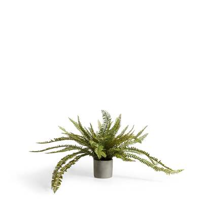 OKA | Faux Potted Fern - Green | Faux Plant