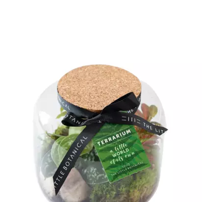 The Little Botanical Round Glass Terrarium Multi | H20 x W17 x D17cm