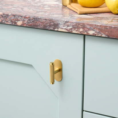 KEPLER Knurled Single T Handle - Brass - Handle with Backplate