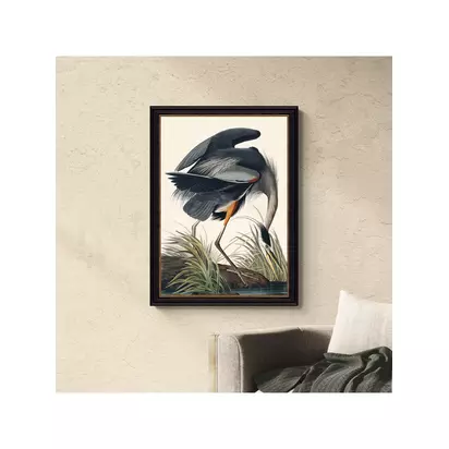 John Lewis John James Audubon 'Great Blue Heron' Framed Print, 77 x 57cm Multi | 77 x 57 x 2.5cm