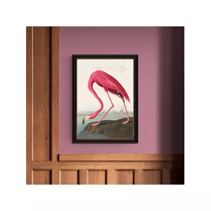 John Lewis John James Audubon 'American Flamingo' Framed Print, 77 x 57cm Multi | 77 x 57 x 2.5cm