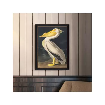 John Lewis John James Audubon 'White Pelican' Framed Print, 77 x 57cm Multi | 77 x 57 x 2.5cm