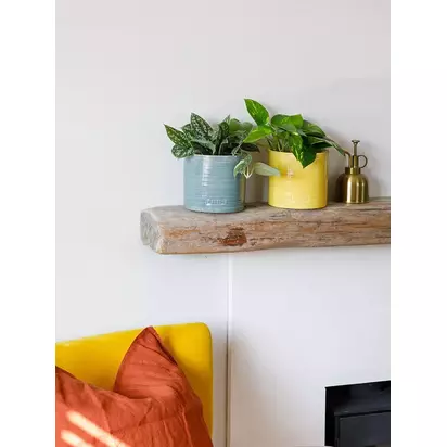 The Little Botanical Pothos Duo House Plants in Glazed Pots Multi | H30 x W26 x D13cm