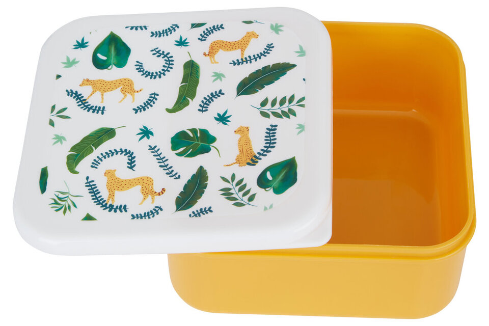 Open uri20260115 24349 1toa813?1768482503