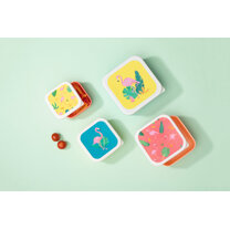 Open uri20260115 24349 1d4k4us?1768482538