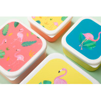 Open uri20260115 24349 11p9hsz?1768482539