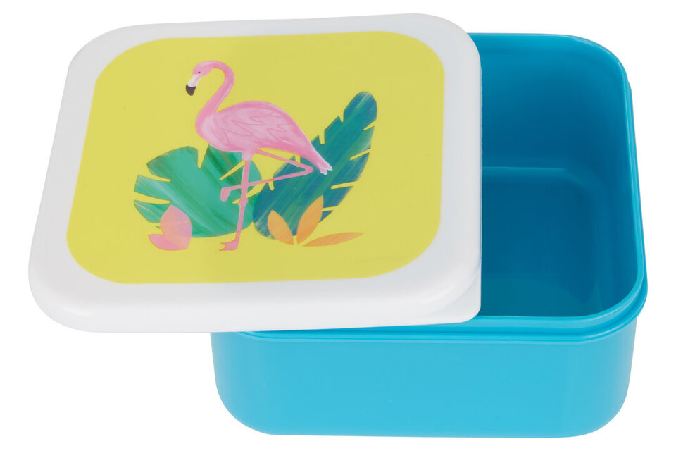 Open uri20260115 24349 gvvr1h?1768482540