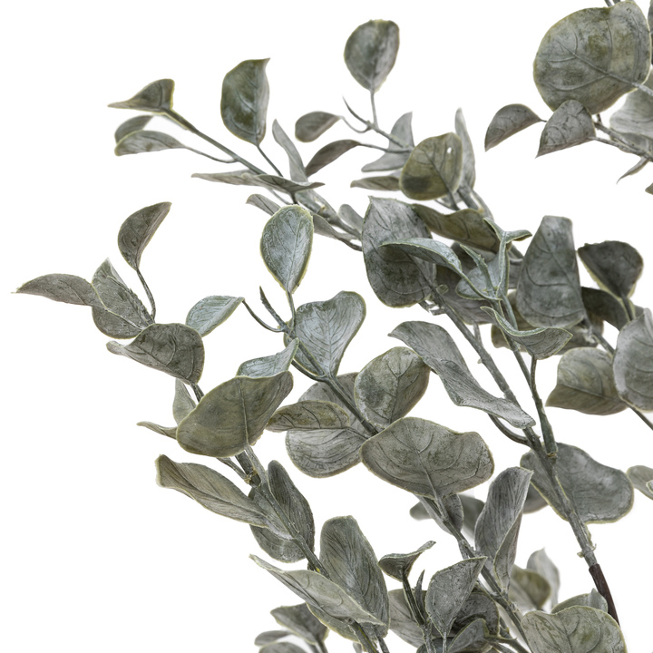 Open uri20260115 11237 l2xvhu?1768502019