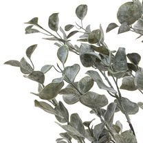 Open uri20260115 11237 l2xvhu?1768502019