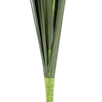 Open uri20260115 11237 y303ch?1768502051