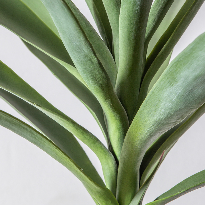 Open uri20260115 11237 jn6hmb?1768502524