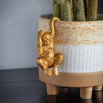 Open uri20260115 11237 zvyfz4?1768503319