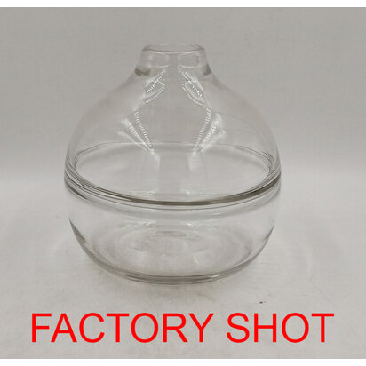 Piaoria Clear Glass Vase