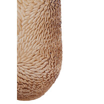 Open uri20260115 11237 r15tra?1768519233