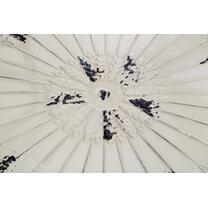 Open uri20260116 8019 k3pr6v?1768573334