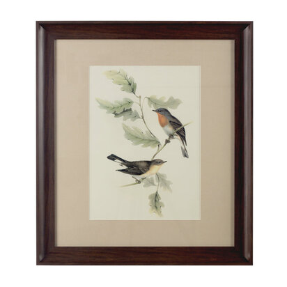 Framed Birds 1 Wall Art