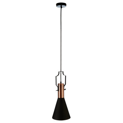 Argo Small Pendant Light in Black and Copper.