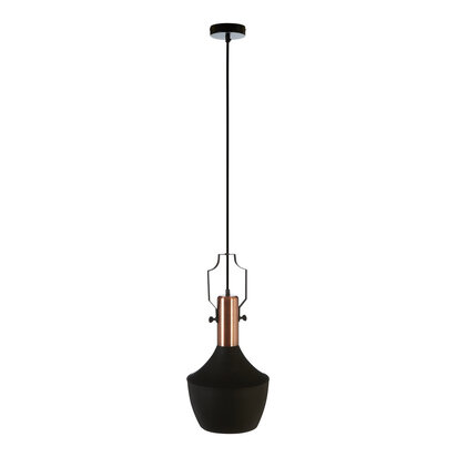 Argo Medium Pendant Light in Black and Copper