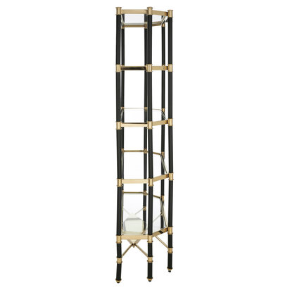 Allessi 5 Shelf Unit In Champagne Finish and Black Frame