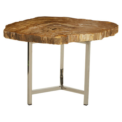 Relic Small Petrified Wood Side Table