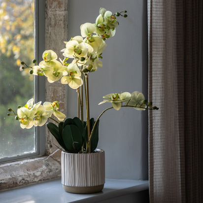 Elmdale in White Ribbed Ceramic Pot