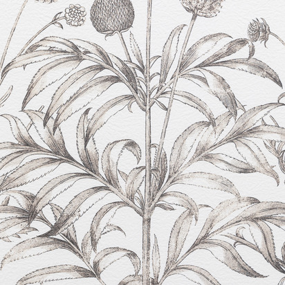 Open uri20260118 8019 10u20an?1768758240