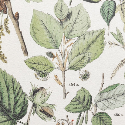 Open uri20260118 8019 s7k82u?1768758384