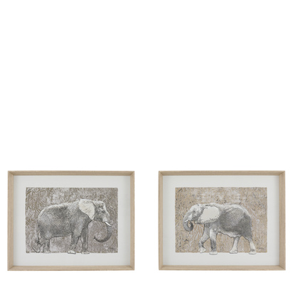 Botanist Framed Art Set of 2