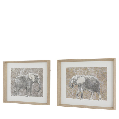 Botanist Framed Art Set of 2