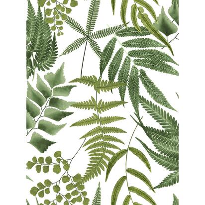 Open uri20260123 12963 1e56uuu?1769130408