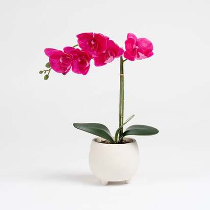 Artificial Pink Orchid in Cement Pot