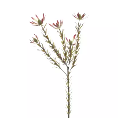Floralsilk Artificial Leucadendron Spray, 70cm, Green Green | H70 x W26 x D26cm