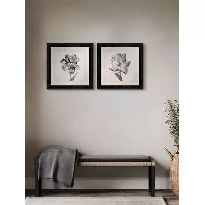 Brookpace Lascelles 'Tulip I' Framed Print, 59 x 49cm, Black/White Black | 59 x 49 x 3cm