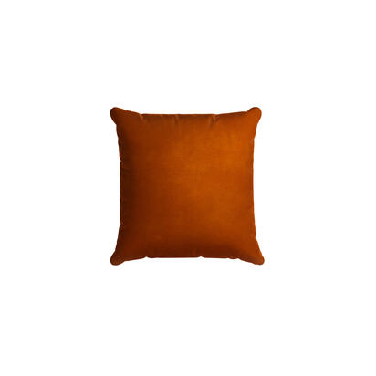 45x45cm Scatter Cushion in Maple House Velvet