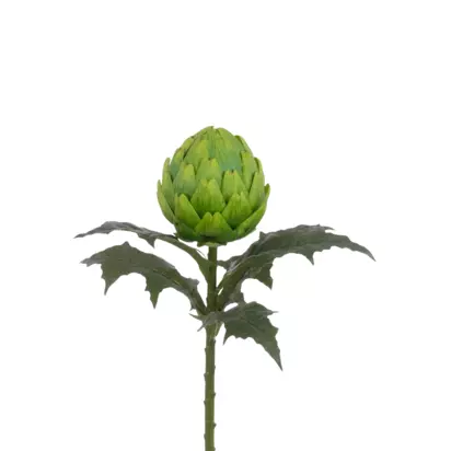 Floralsilk Artificial Large Artichoke Stem, 66cm, Green Green | H66 x W27 x D27cm