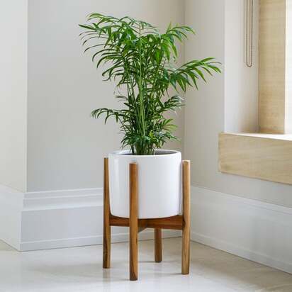 Anzio Plant Pot With Stand