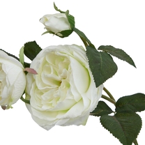 Open uri20260220 6950 1e2kfjl?1771568871
