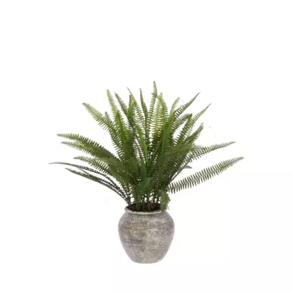 Floralsilk Artificial Fern in Ceramic Pot, H56cm, Green Green | H56 x W53 x D53cm