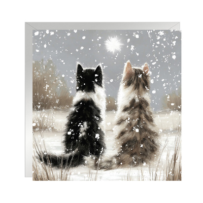 Snow Mates Christmas Cards (48pk)