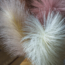 Open uri20260304 9812 117lie1?1772614774