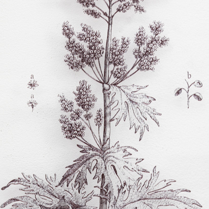 Open uri20260304 9812 1imdup8?1772619995