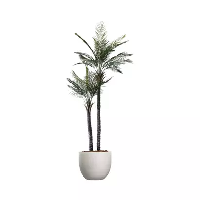 Vistafolia Outdoor Artificial Palma Gemela Palm Tree, 2.1m, Green Green | H210 x W106 x D80cm