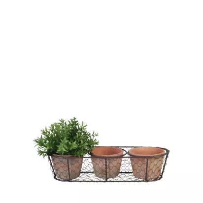 Fallen Fruits 3 Terracotta Plant Pots in a Wire Basket Natural | 9.8x36.7x13 cm
