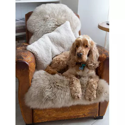 The Small Home Sheepskin Rug, Natural Nautral | H6 x W60 x D95cm