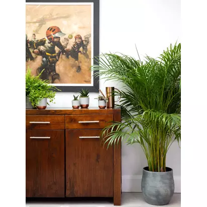 The Little Botanical XL Areca Palm Ceramic Pot Plant Multi | H110-130 x W40 x D40 cm